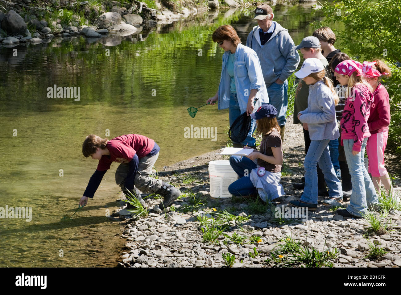 I bambini della scuola quinto livellatrici rilasciando le trote hanno sollevato in classe in un torrente in Montgomery County Upstate New York Foto Stock