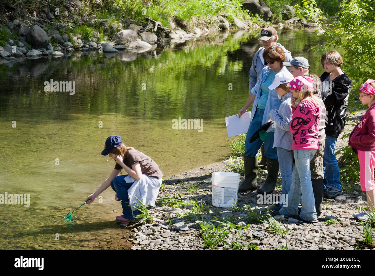 I bambini della scuola quinto livellatrici rilasciando le trote hanno sollevato in classe in un torrente in Montgomery County Upstate New York Foto Stock