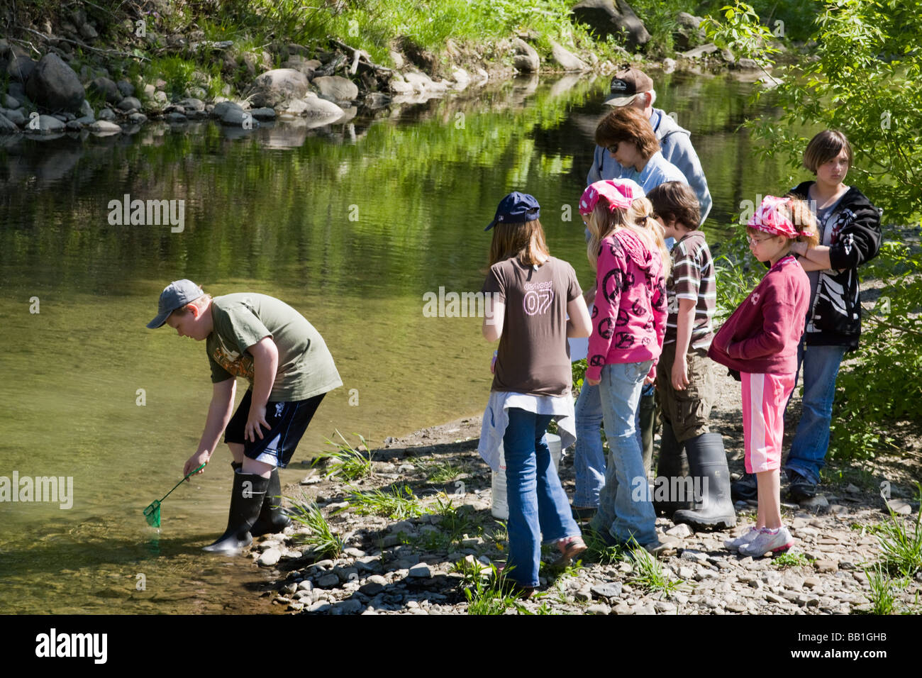 I bambini della scuola quinto livellatrici rilasciando le trote hanno sollevato in classe in un torrente in Montgomery County Upstate New York Foto Stock