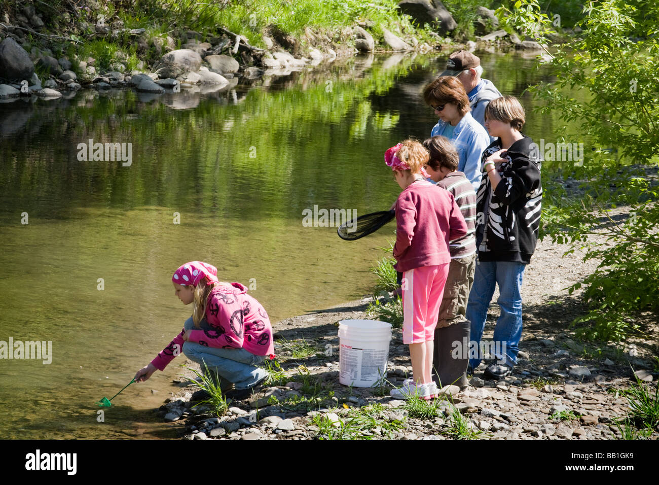 I bambini della scuola quinto livellatrici rilasciando le trote hanno sollevato in classe in un torrente in Montgomery County Upstate New York Foto Stock