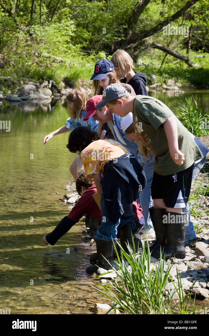 La quinta elementare agli studenti gli allievi studiano ecologia di un flusso in Montgomery County Upstate New York Foto Stock