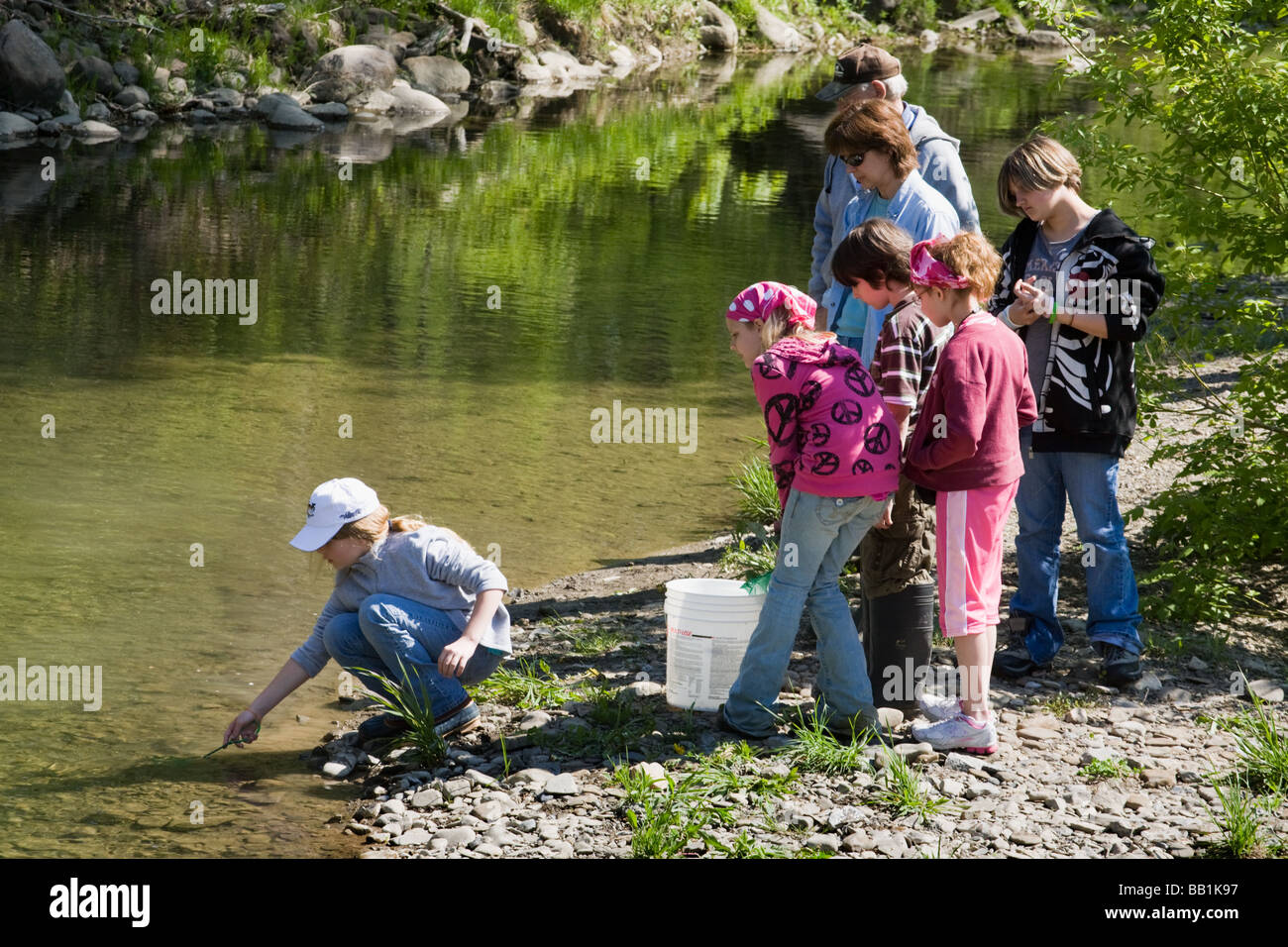 I bambini della scuola quinto livellatrici rilasciando le trote hanno sollevato in classe in un torrente in Montgomery County Upstate New York Foto Stock