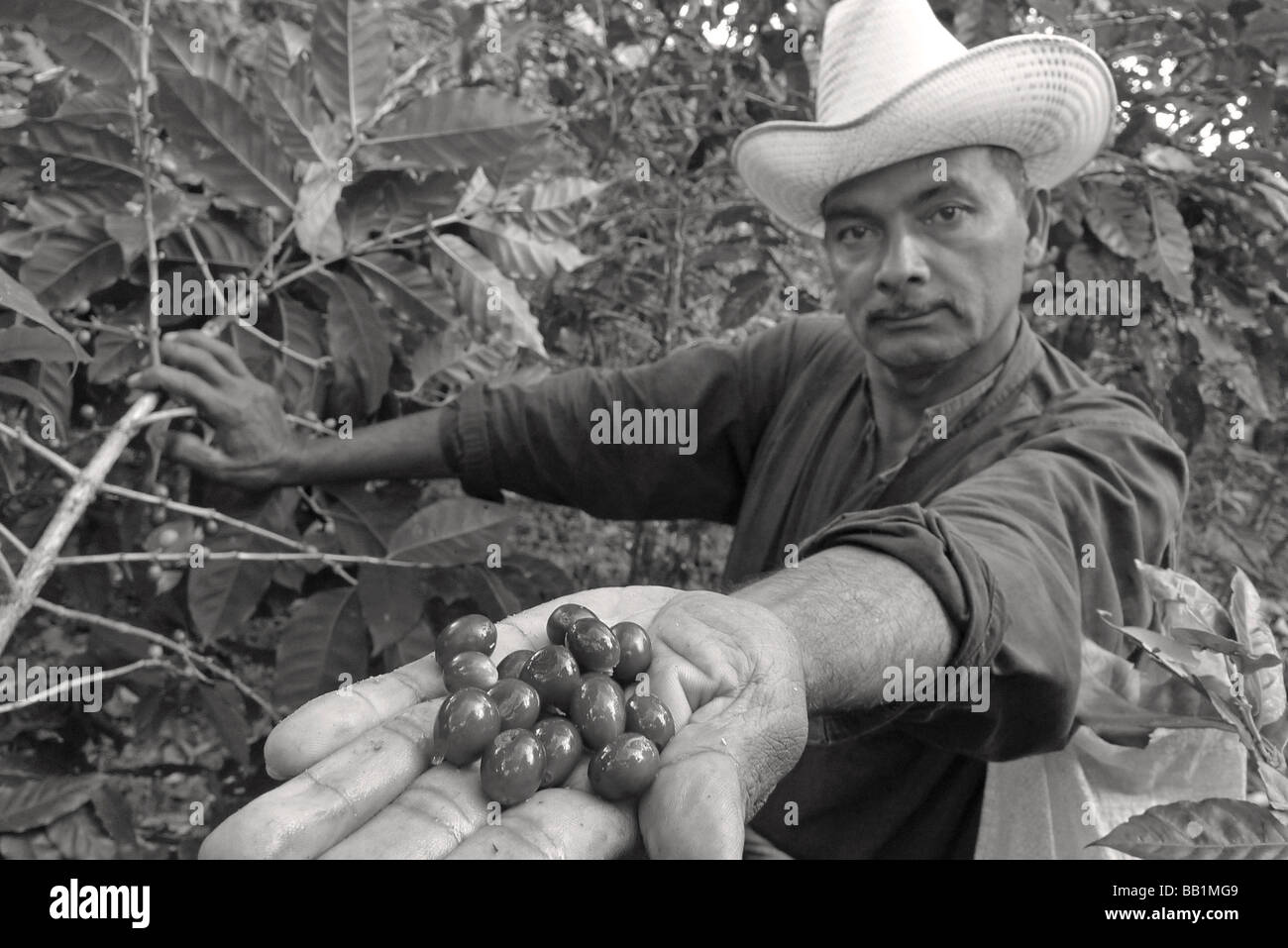 Nicaragua matagalpa central america latina latino caffè nicaraguense farm picker uomo lavoratore con il cappello da cowboy ritratto close up MR Foto Stock