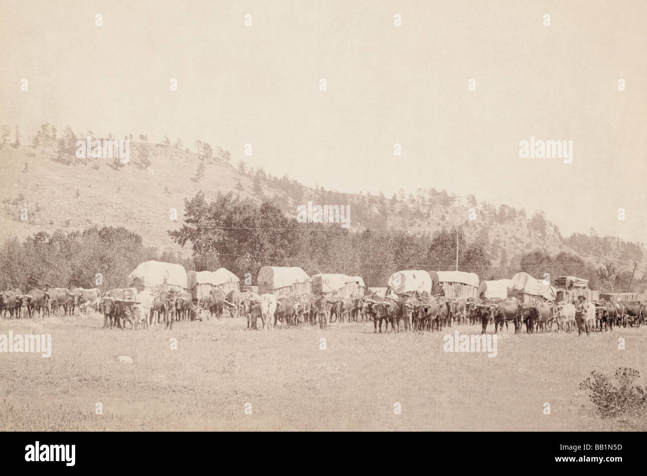 Freighting in Black Hills Foto Stock