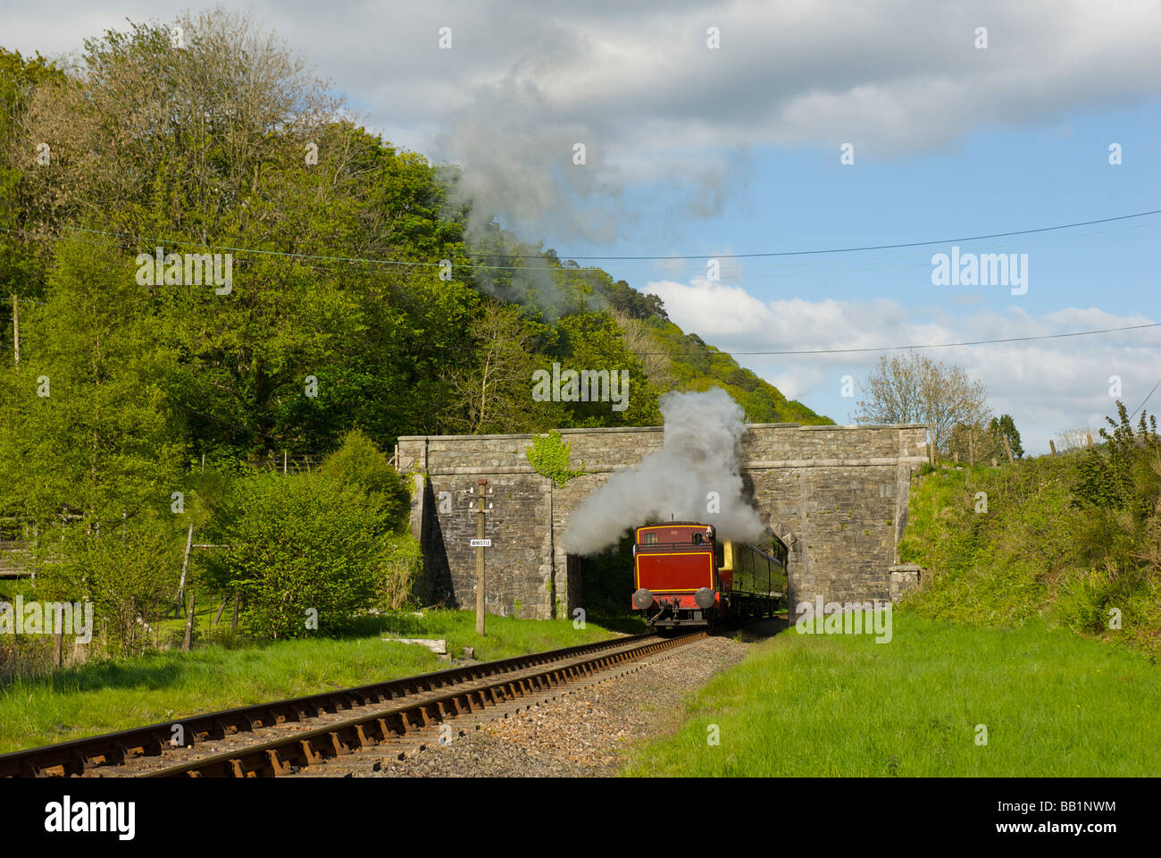 Treno a vapore sul lago & Haverthwaite ferroviarie, vicino a Newby Bridge, Parco Nazionale del Distretto dei Laghi, Cumbria, England Regno Unito Foto Stock