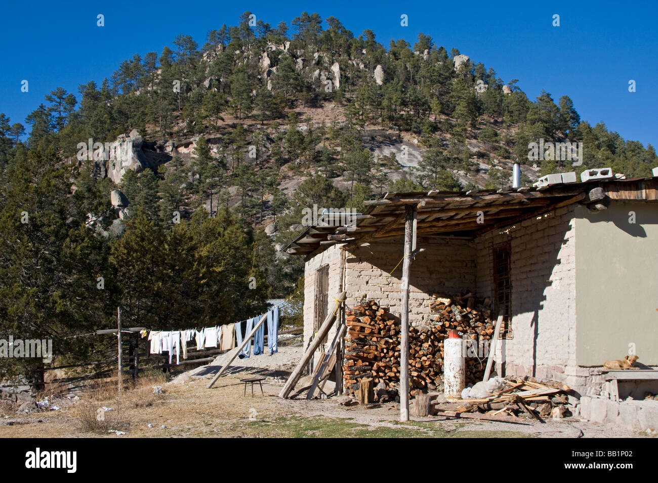 Semplice adobe house vicino alla città di Creel in rame area Canyon del Messico Foto Stock