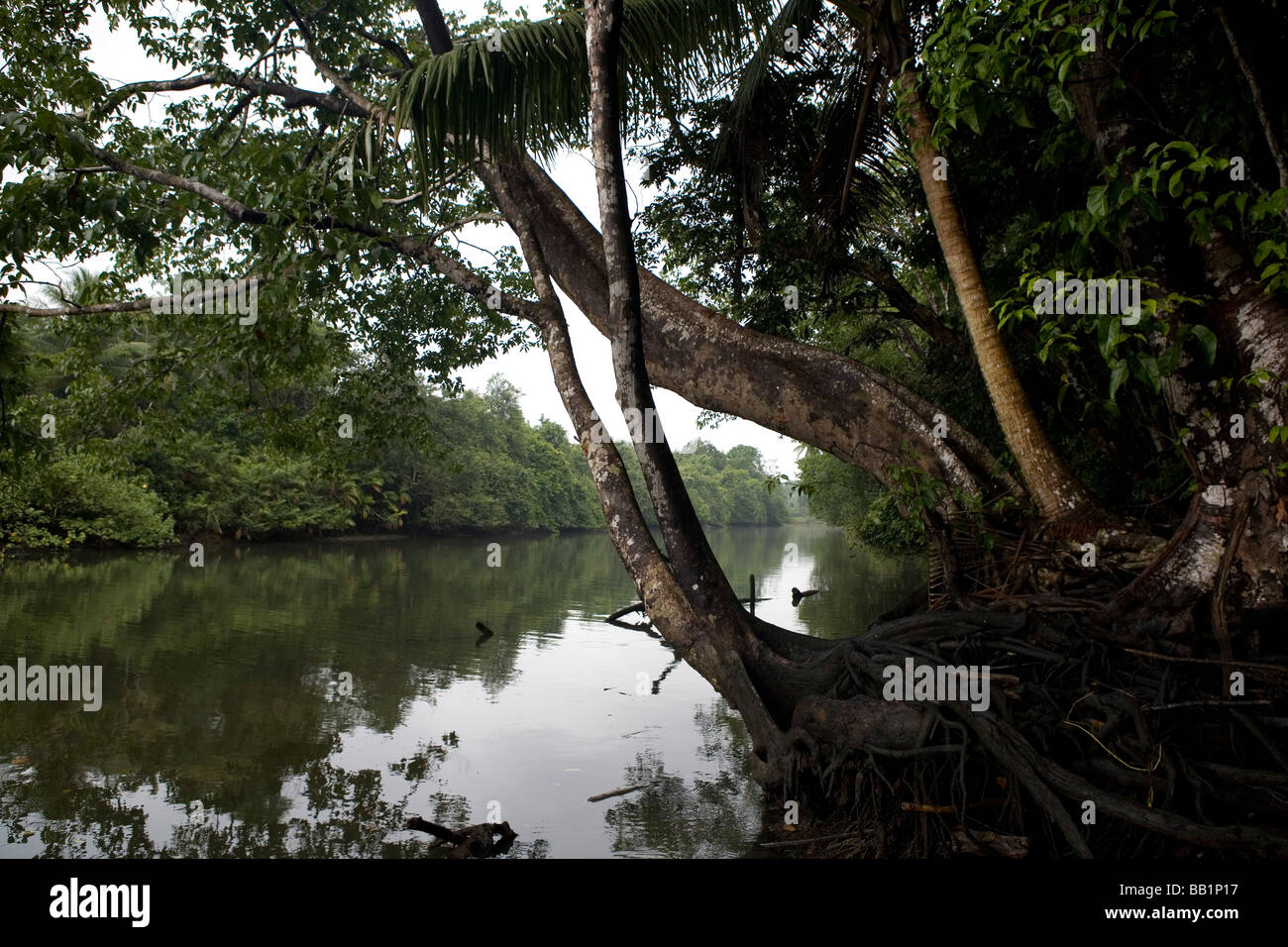 Sirena stazione di ranger fiume nel parco nazionale di Corcovado, Costa Rica Foto Stock