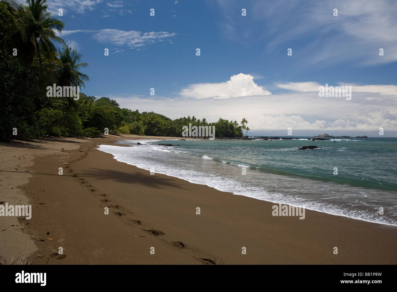 Il litorale sabbioso e la giungla della penisola di Osa lungo il Parco Nazionale di Corcovado in Costa Rica. Foto Stock