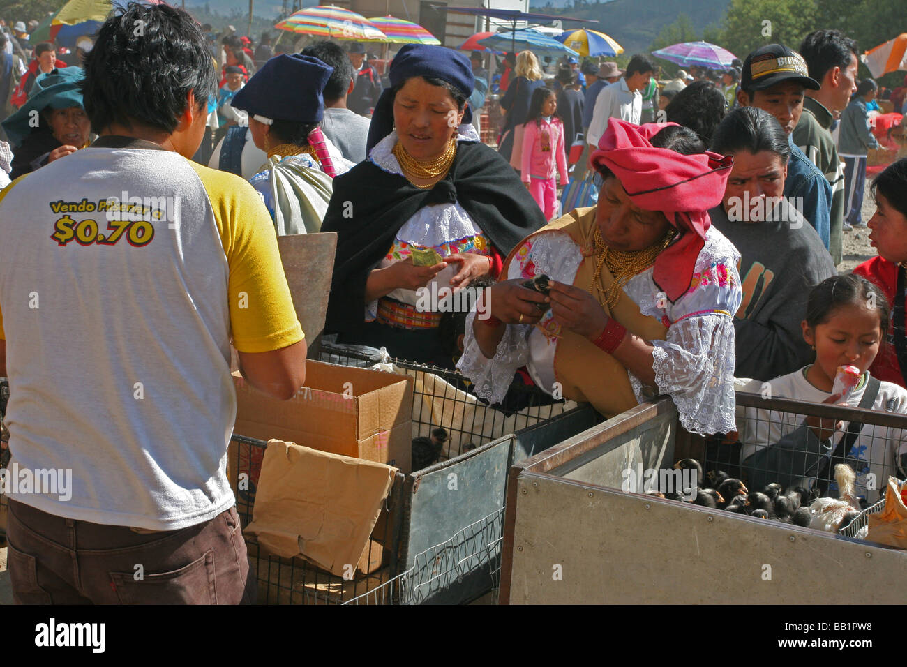Otavalo Ecuador grande mercato degli animali - Le donne indigene e la loro figlia indossare abbigliamento tradizionale mentre shoping per pulcini Foto Stock