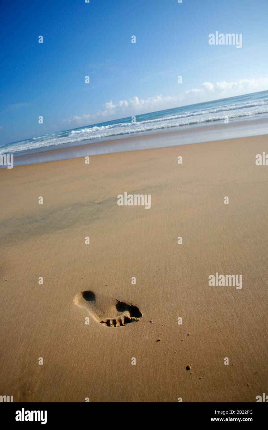 Un unico ingombro sulla perfetta spiaggia di sabbia dorata di Toro in Souther Mozambico Foto Stock