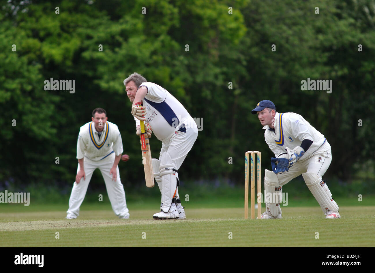 Village cricket in Lapworth, Warwickshire, Inghilterra, Regno Unito Foto Stock