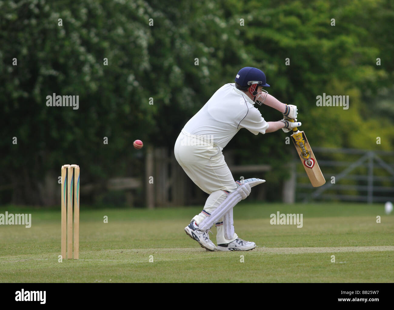 Village cricket in Lapworth, Warwickshire, Inghilterra, Regno Unito Foto Stock