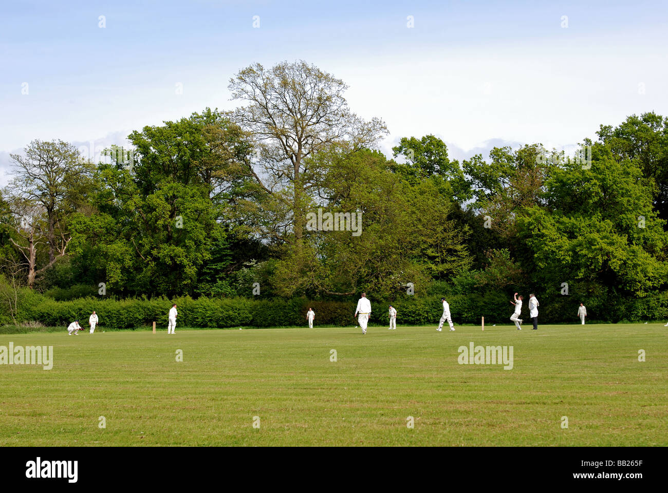 Village cricket a Hockley Heath, West Midlands, England, Regno Unito Foto Stock