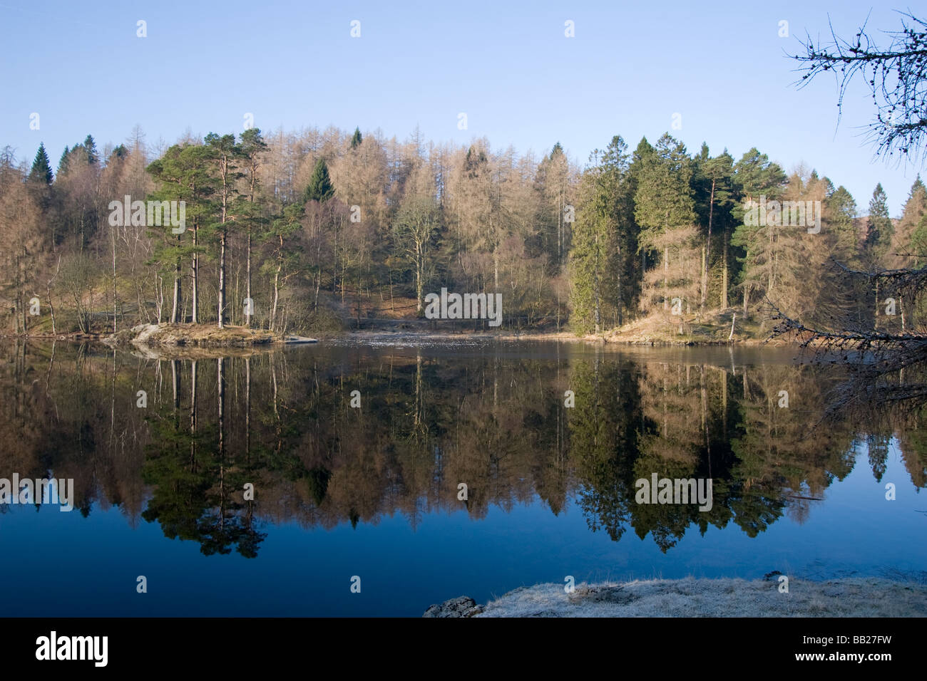 Tarn Hows in inverno Foto Stock