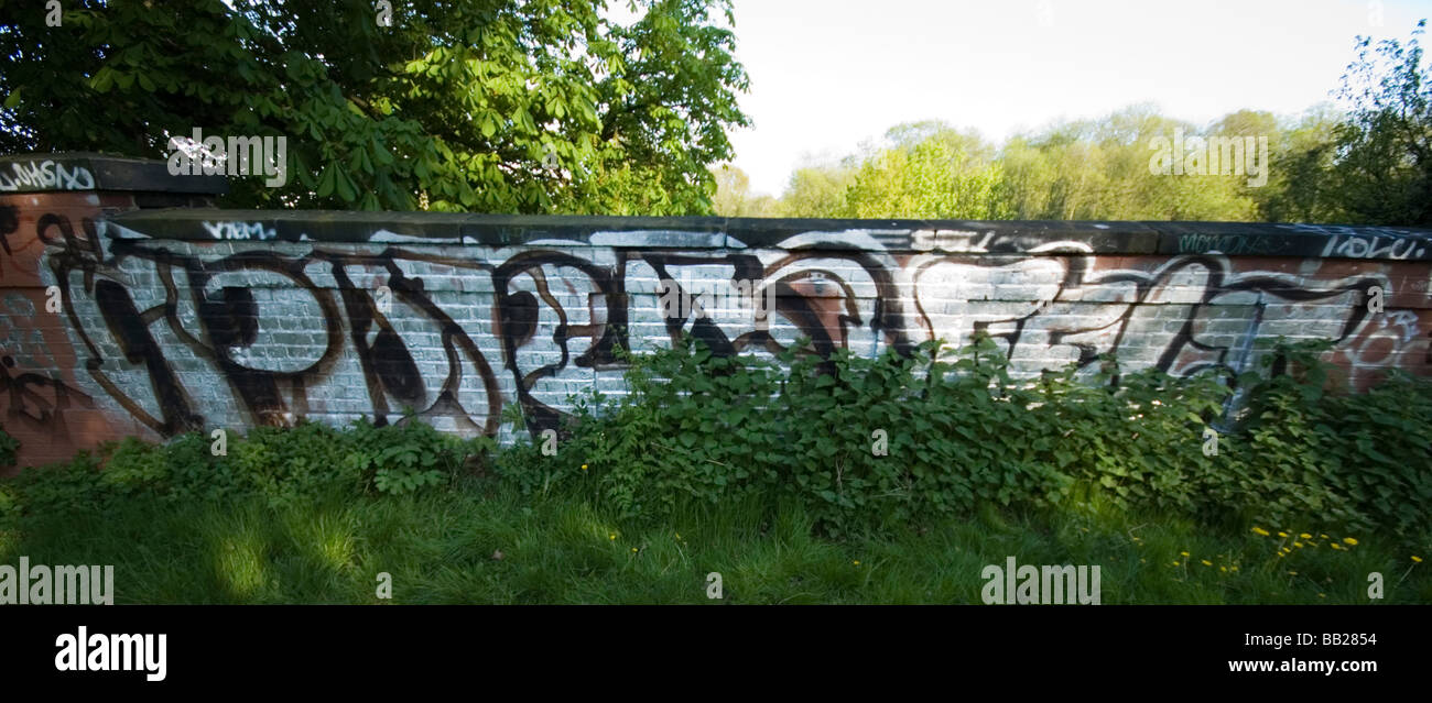 Graffiti sul ponte ferroviario nel verde in una parte del sud di Londra. Foto Stock