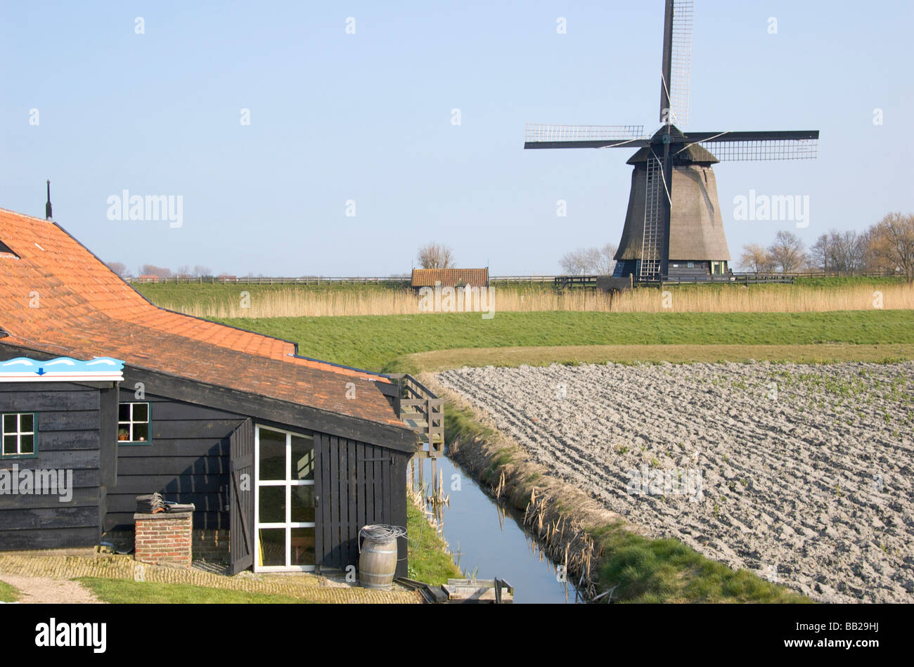Enkhuizen, Europa Paesi Bassi, North Holland, West-Frisia Foto Stock