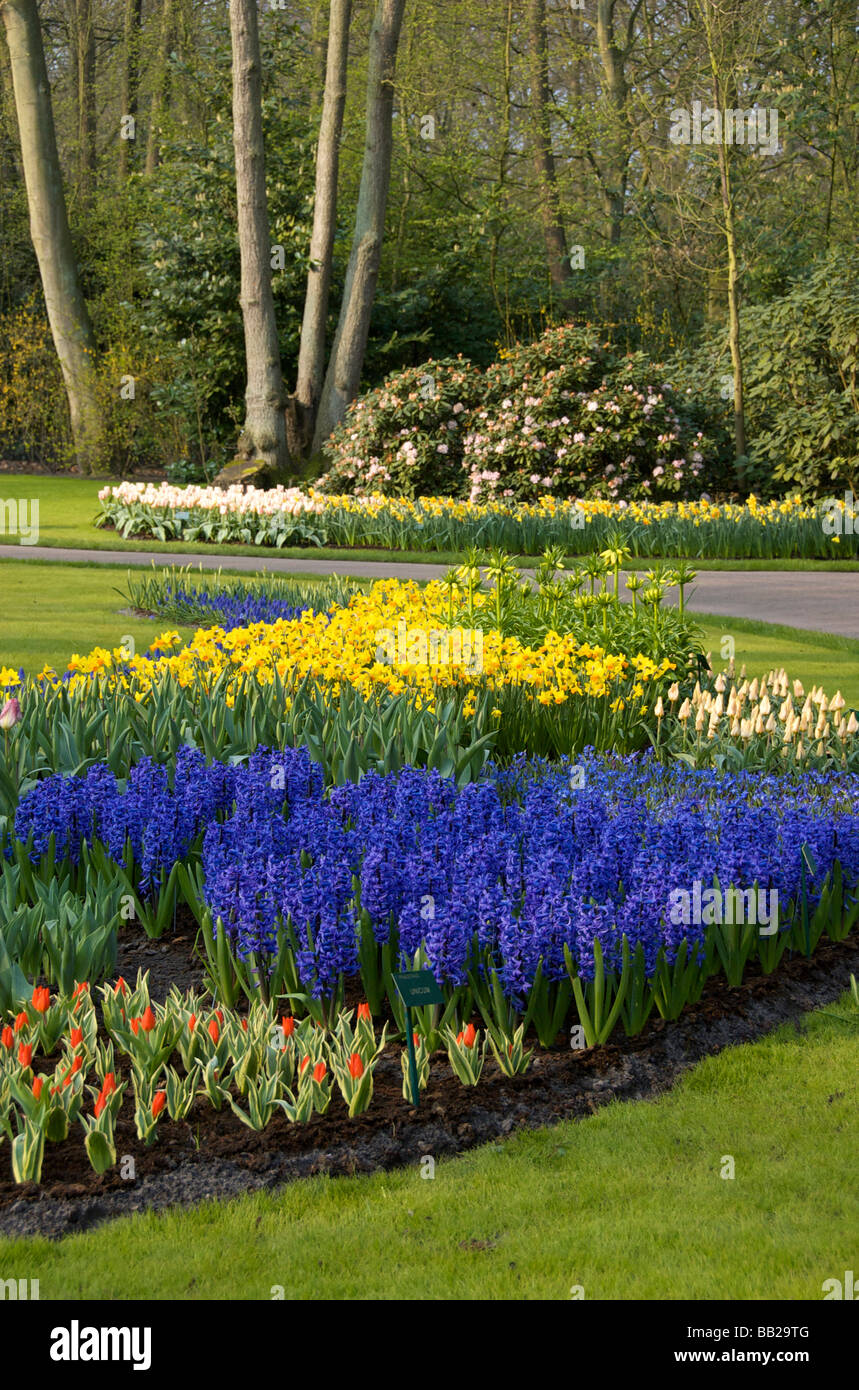 Europa, Paesi Bassi, Olanda Lisse, Giardini Keukenhof Foto Stock