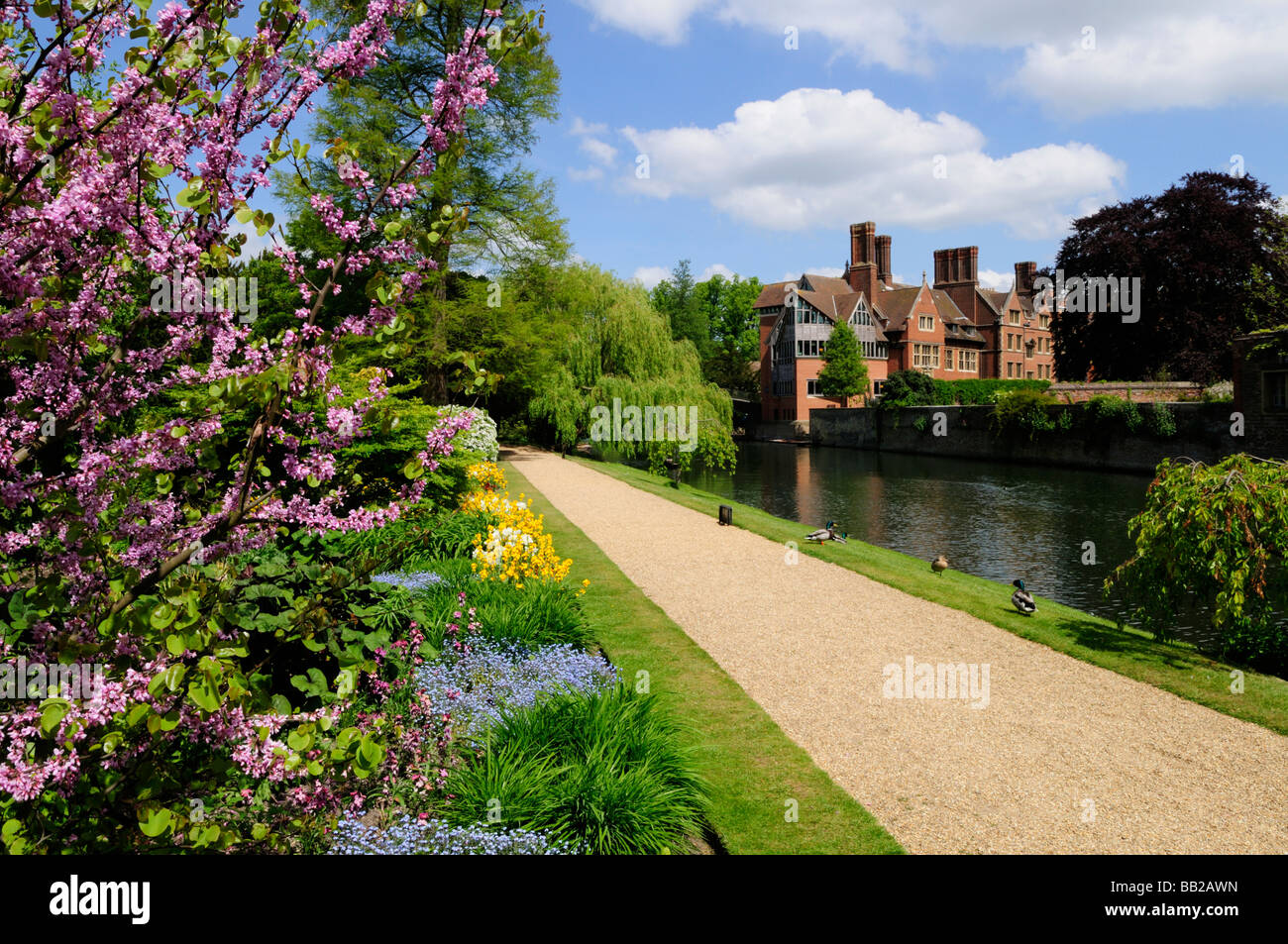 La libreria Jerwood al Trinity College Hall Vista dal giardino di borsisti al Clare College di Cambridge Inghilterra Regno Unito Foto Stock