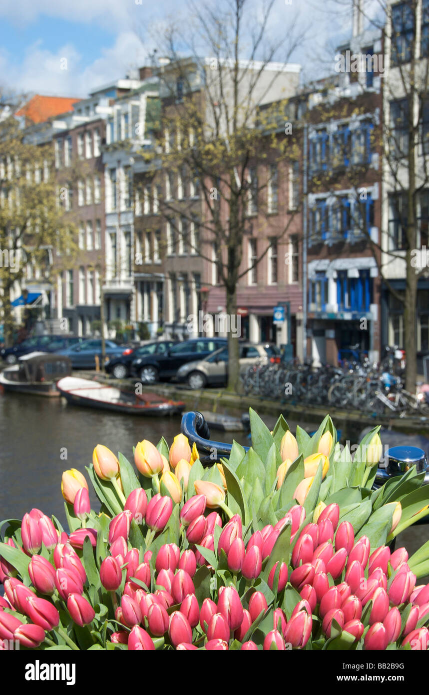 Europa, Paesi Bassi, South Holland, Amsterdam Foto Stock