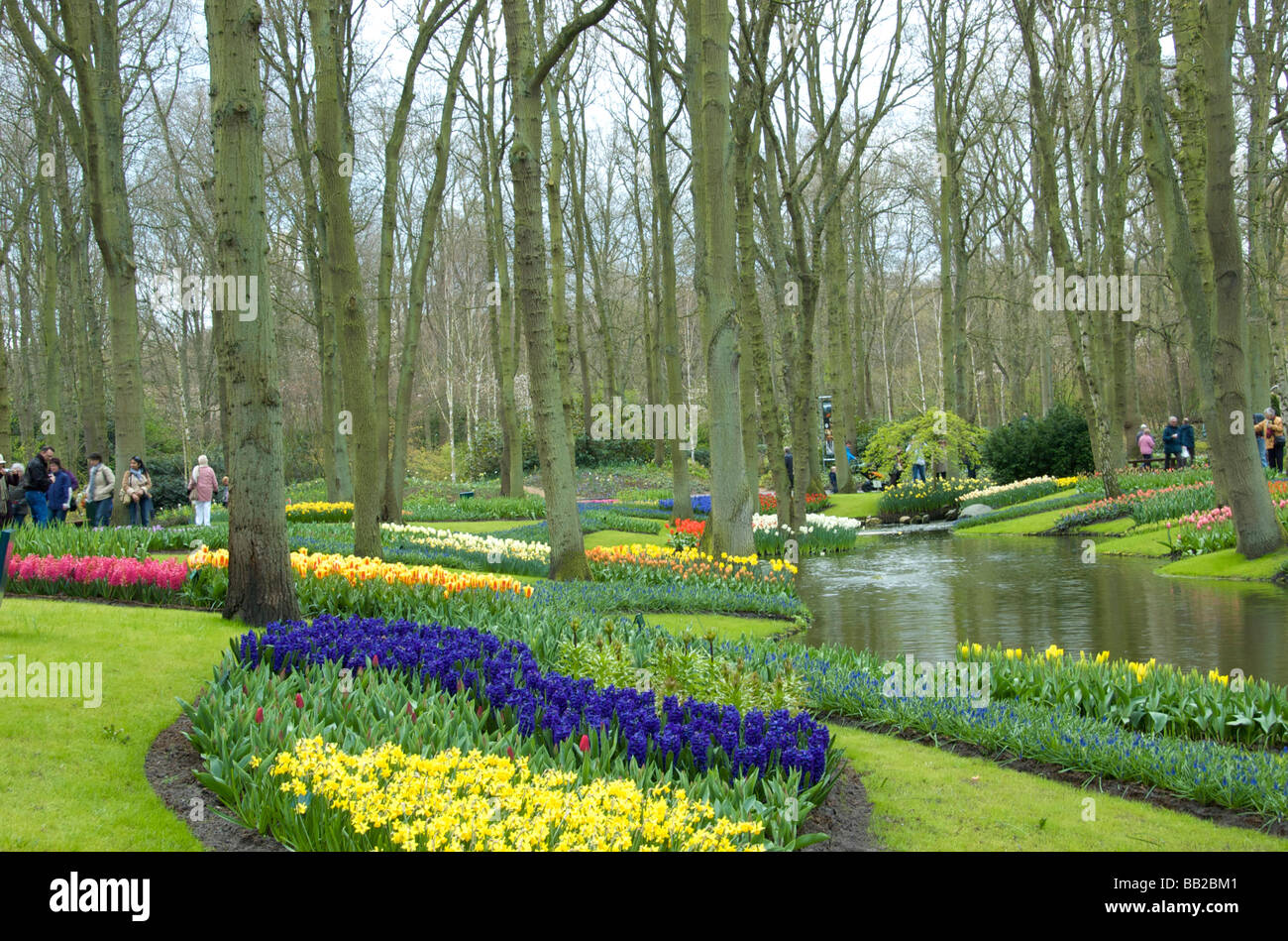 Europa, Paesi Bassi, Olanda Lisse, Giardini Keukenhof Foto Stock