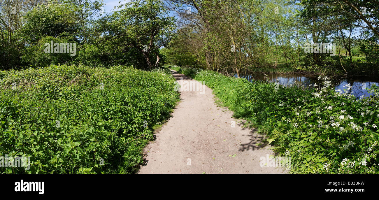 Inghilterra midlands worcestershire valle del fiume freccia redditch Foto Stock