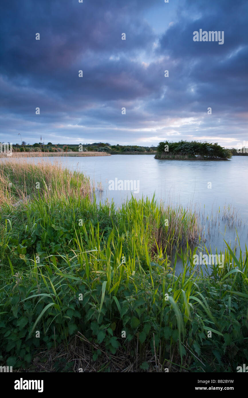 Serata al lontano Ings Riserva Naturale Nazionale a Barton upon Humber in Lincolnshire settentrionale Foto Stock