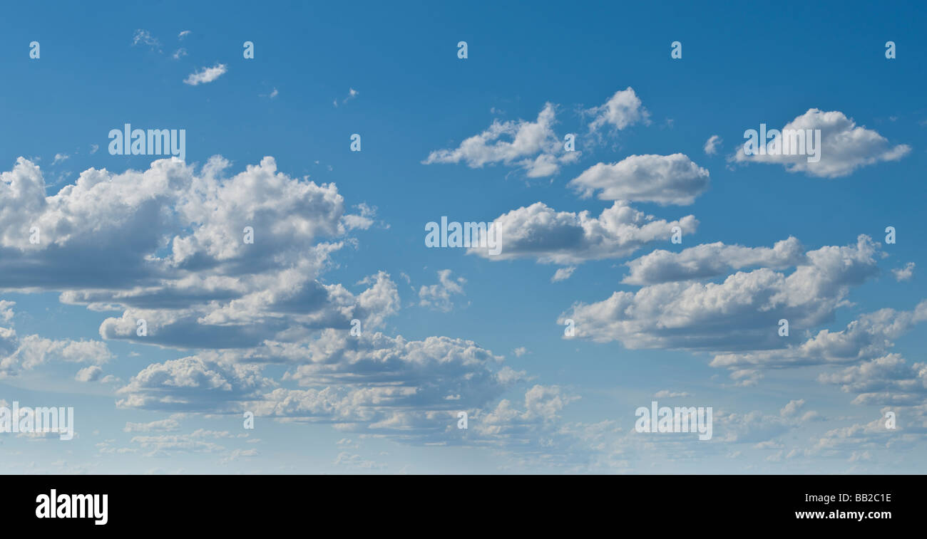 Cielo blu con nuvole gonfi Foto Stock