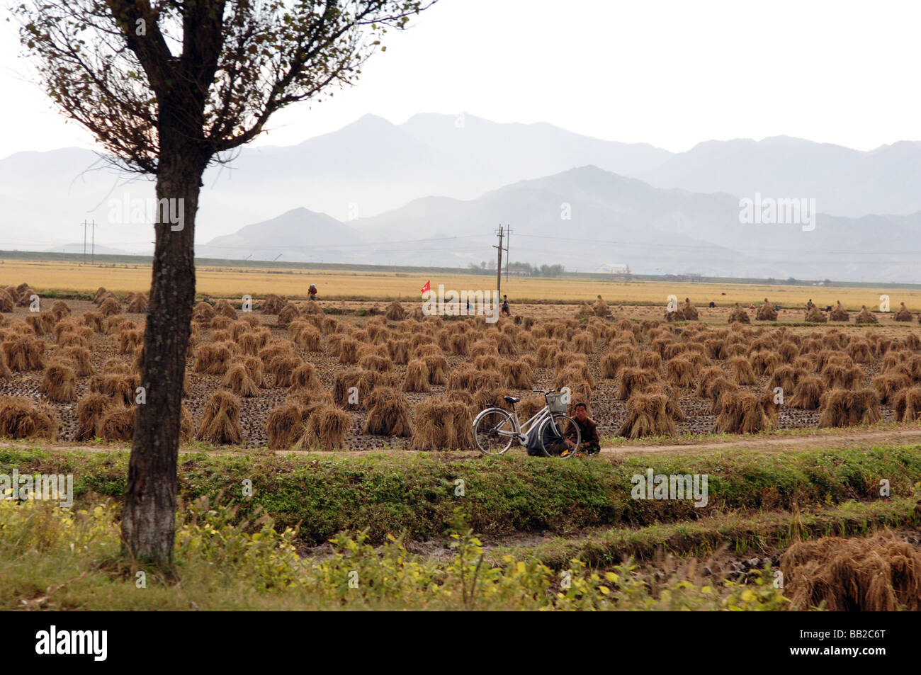Un ciclista nella provincia di Kangwon Corea del Nord Foto Stock