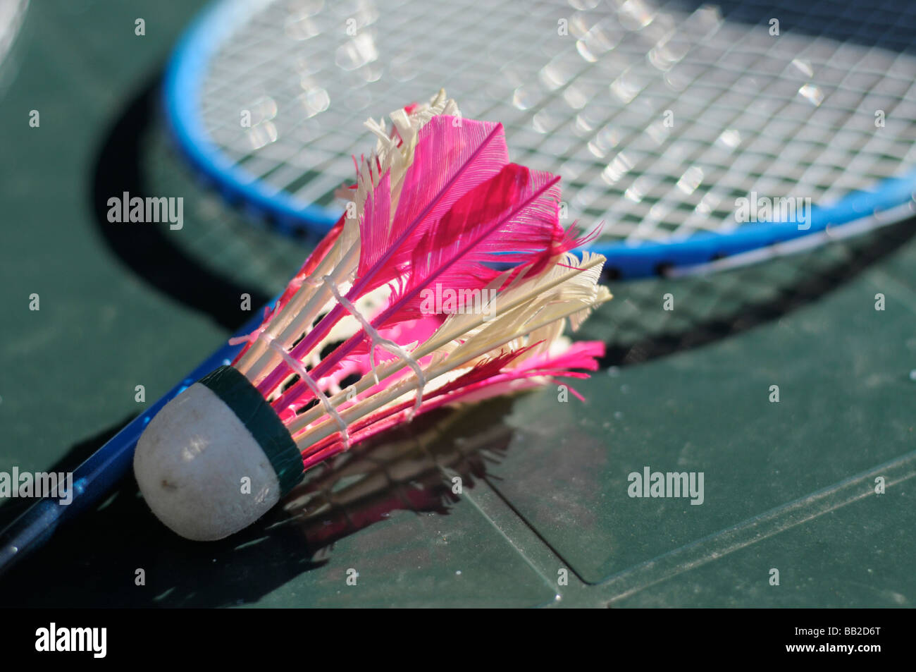 Selvaggina di penna volano e raquet Foto Stock