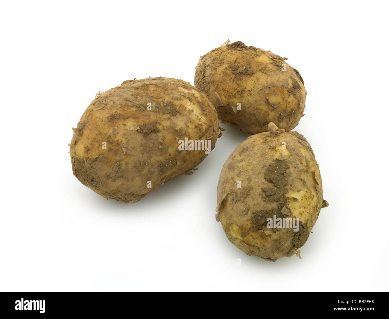 patate novelle Foto Stock