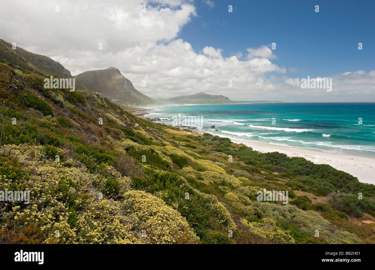 La linea di costa al Misty scogliere. A Cape Point e Penisola vicino a Scarborough, Cape Town, Sud Africa Foto Stock