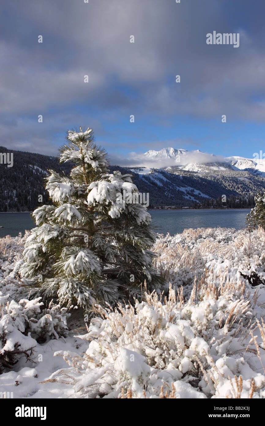 Giugno Lago con giugno Mountain sullo sfondo della Sierra Nevada, in California, Stati Uniti d'America Foto Stock