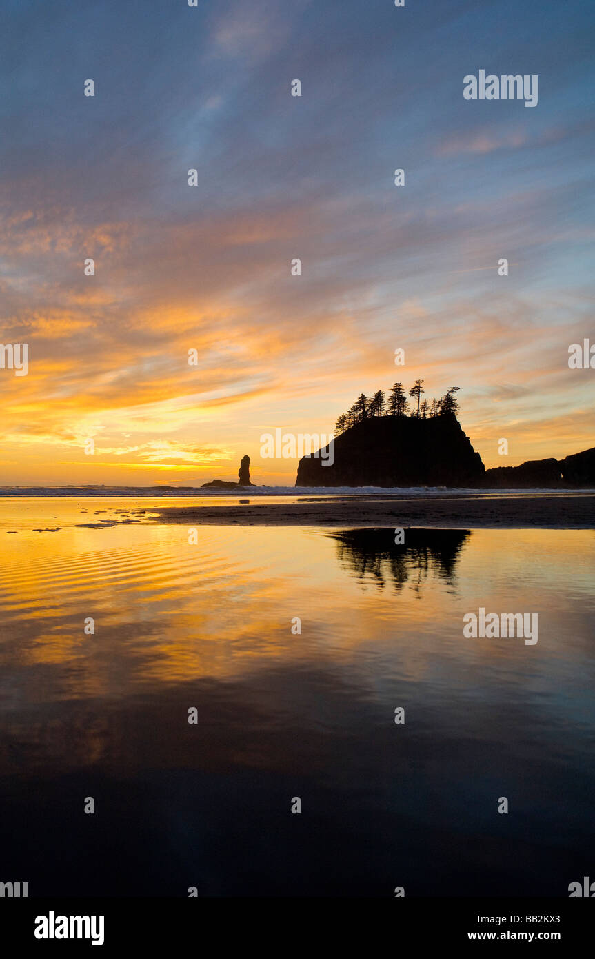 Tramonto riflesso in Tidepool a seconda spiaggia; il Parco Nazionale di Olympic, nello Stato di Washington, USA Foto Stock