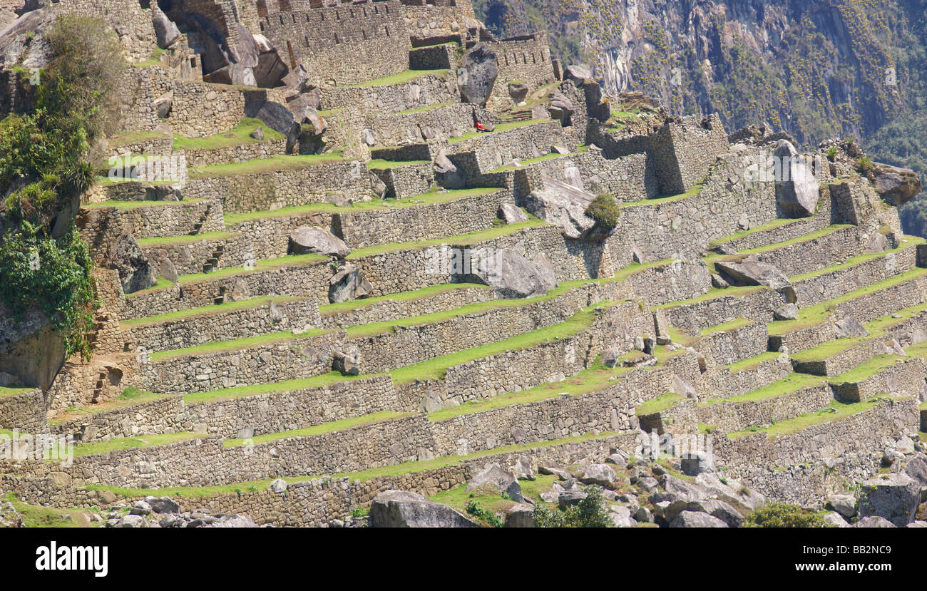 Panorama campi terrazzati e custode di capanne rovine Inca di Machu Picchu Perù Sud America Foto Stock