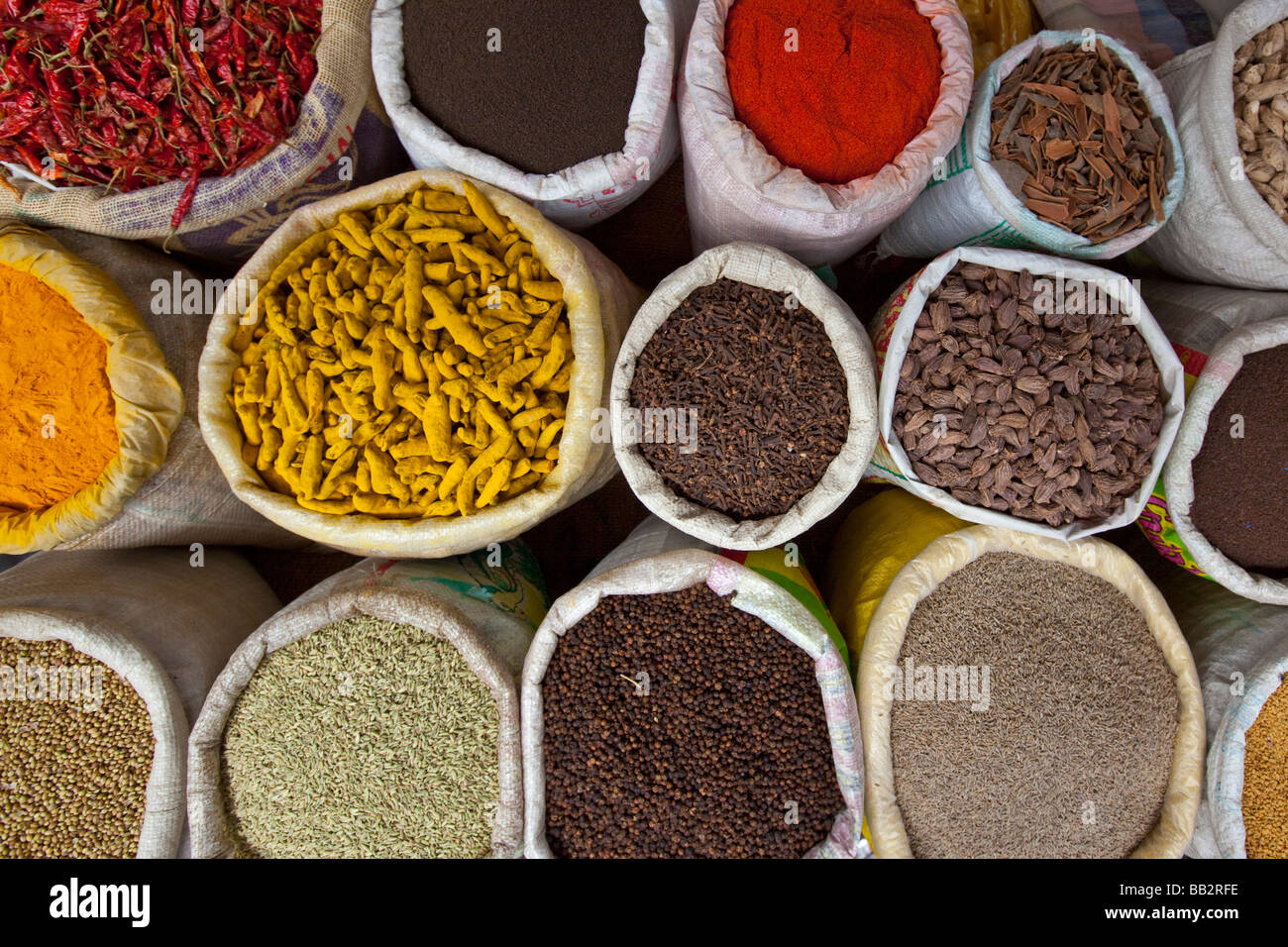 Spezie nel mercato delle spezie in Delhi India Foto Stock