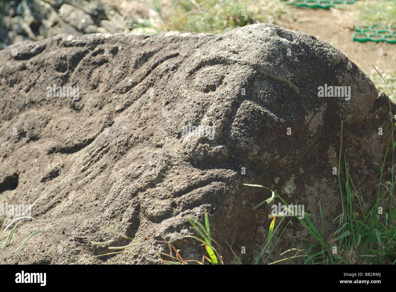 Incisioni rupestri di Makemake, Rapa Nui dio della fertilità e Creatore dell'umanità. su rocce in Orongo, Rapa Nui - Isola di Pasqua, Cile. Foto Stock