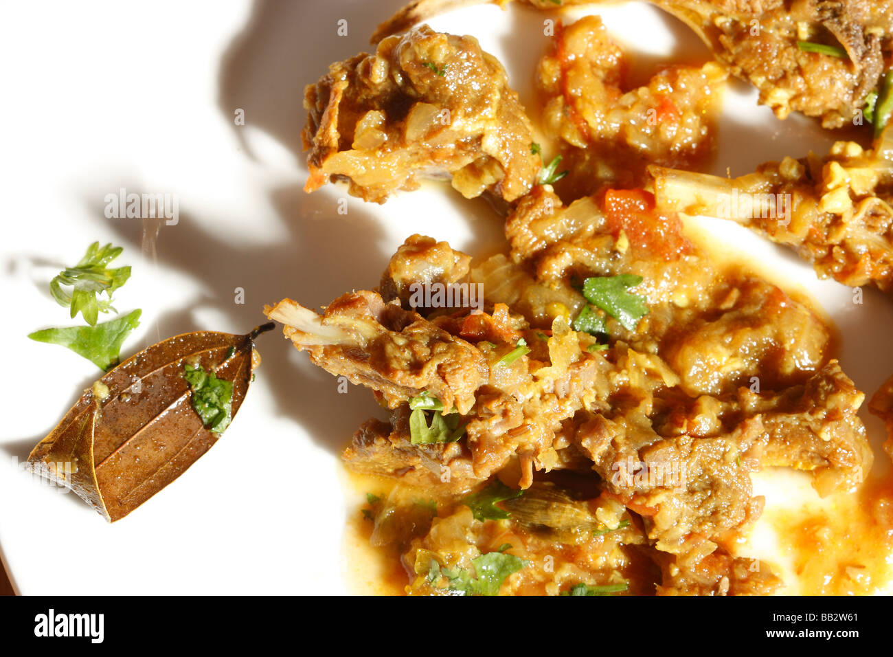 Bhuna carni di montone - un non-veg piatto dalla cucina Sindhi Foto Stock