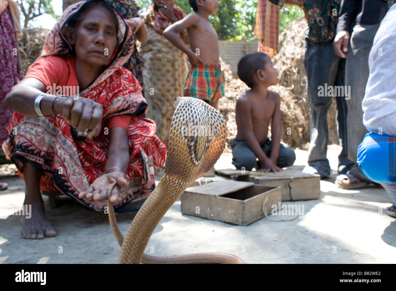 La vita quotidiana in Bangladesh; una donna gitana funziona con un serpente cobra. Foto Stock
