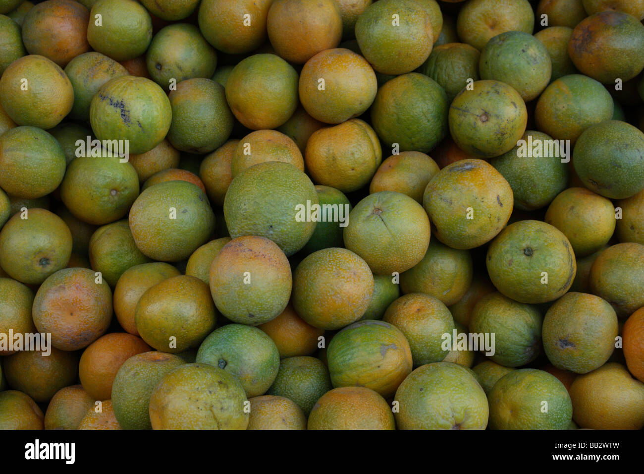 Orange è un dolce e frutta acida Foto Stock