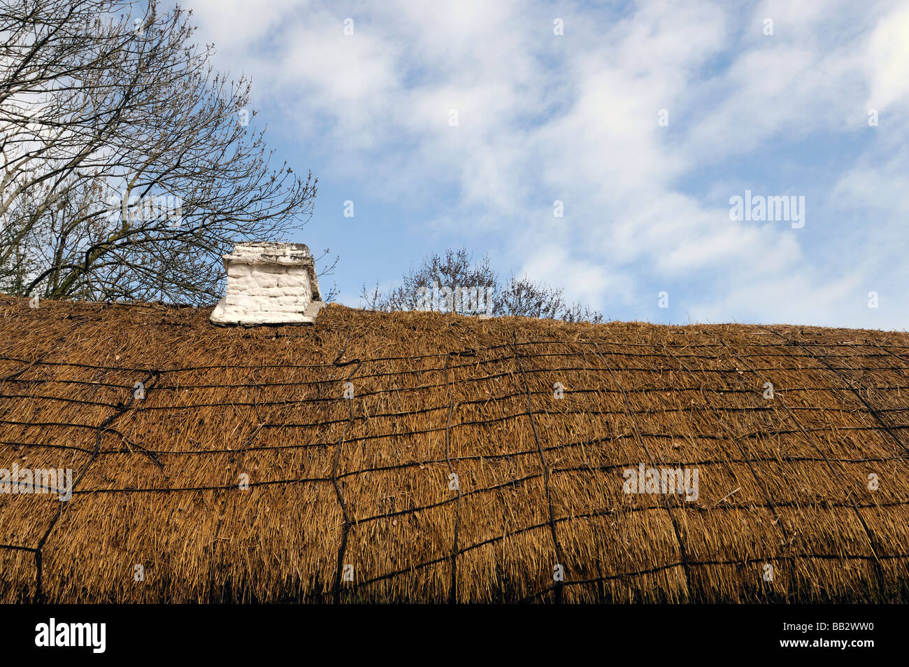 Tetto di Paglia cottage close up dettaglio di paglia con camino bianco blu cielo cielo nuvole bianche Irlanda Foto Stock