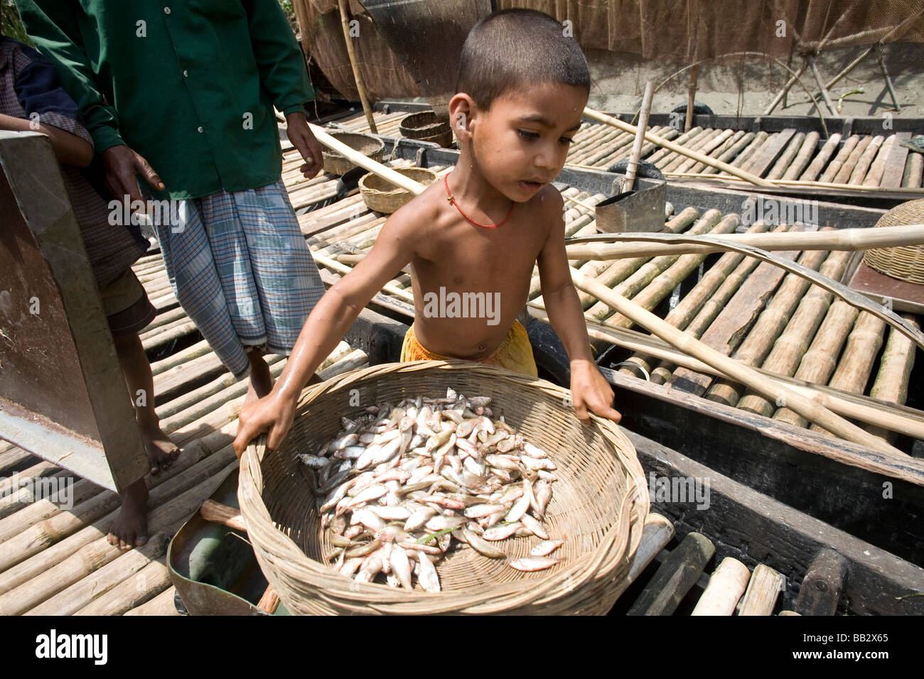 La vita quotidiana in Bangladesh; un ragazzo porta il pesce per alimentare i suoi addestrati lontre prima di andare a lavorare. Foto Stock