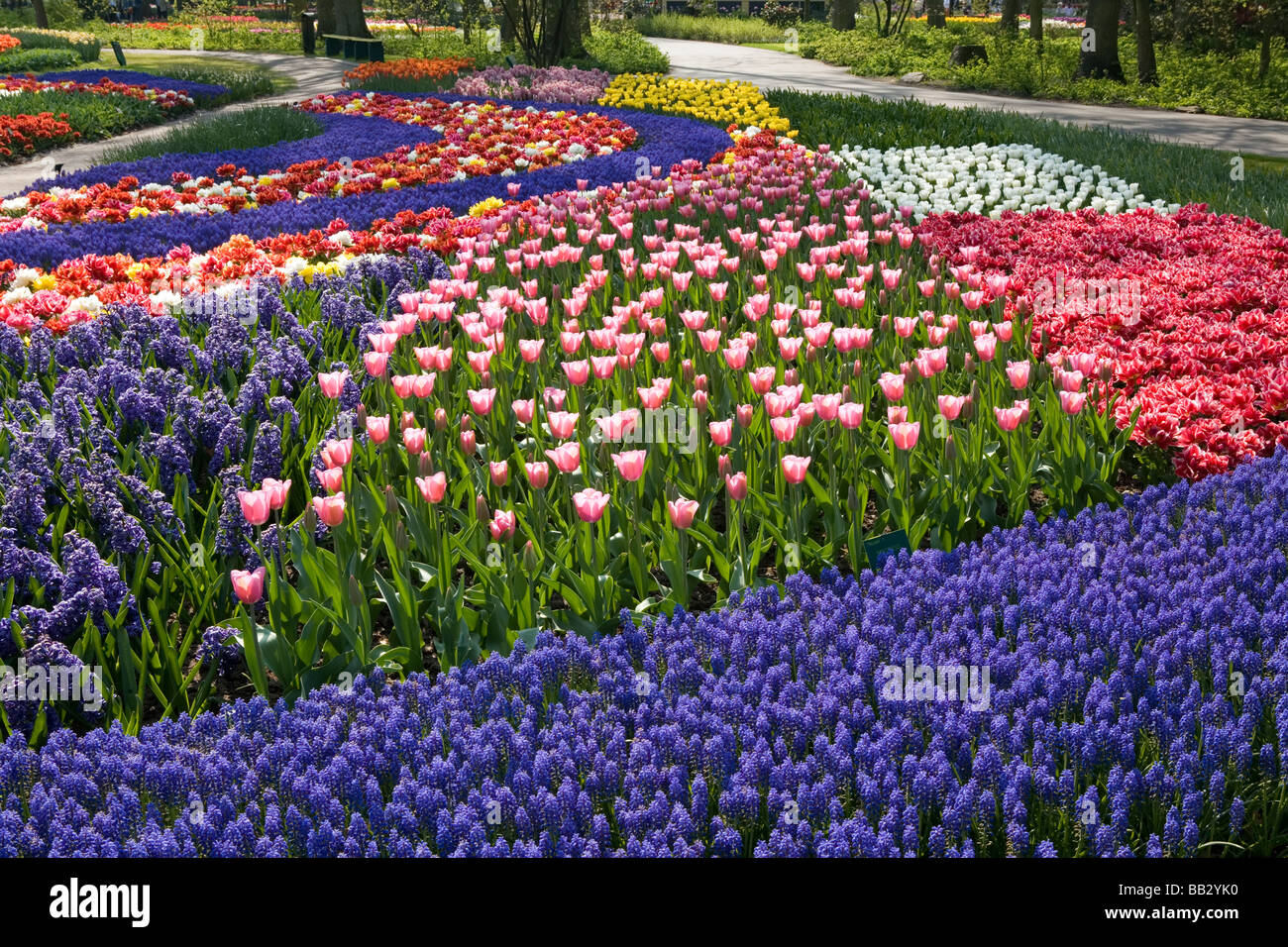 Il Keukenhof, tulip Flower Garden e del parco a Lisse Paesi Bassi Foto Stock