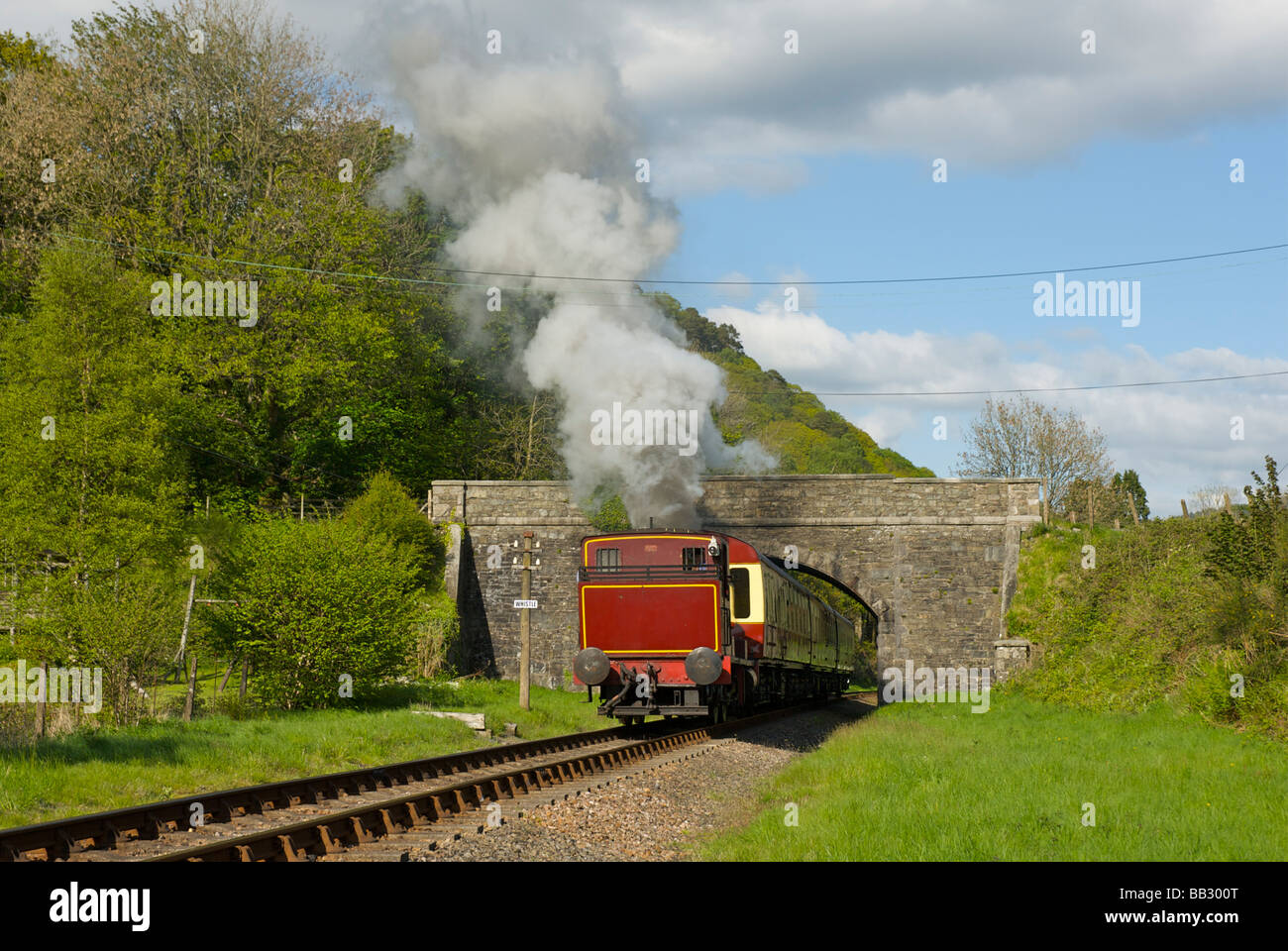 Treno a vapore sul lago & Haverthwaite ferroviarie, vicino a Newby Bridge, Parco Nazionale del Distretto dei Laghi, Cumbria, England Regno Unito Foto Stock