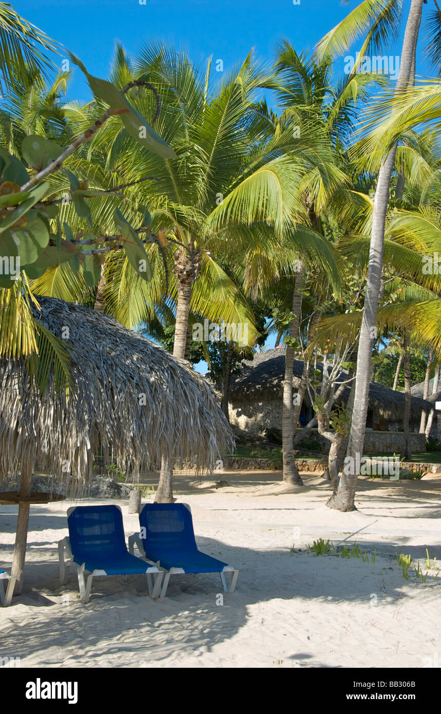 Repubblica Dominicana, Bayahibe Viva Wyndham Dominicus Beach, sdraio in spiaggia Foto Stock