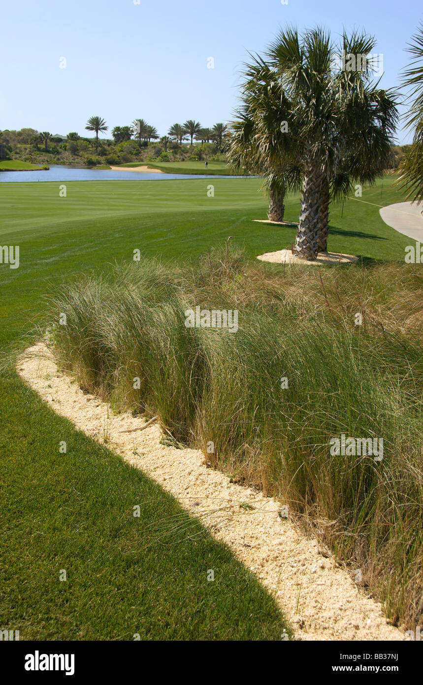 Stati Uniti d'America, Florida, Flagler, Palm Coast, l'oceano di corso presso Ginn Hammock Beach Resort Foto Stock