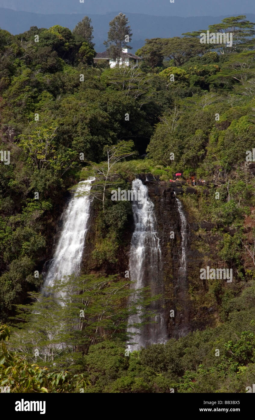 Stati Uniti d'America, Hawaii, Kauai, Wailua River State Park, New SCENIC si affacciano. (RF) Foto Stock