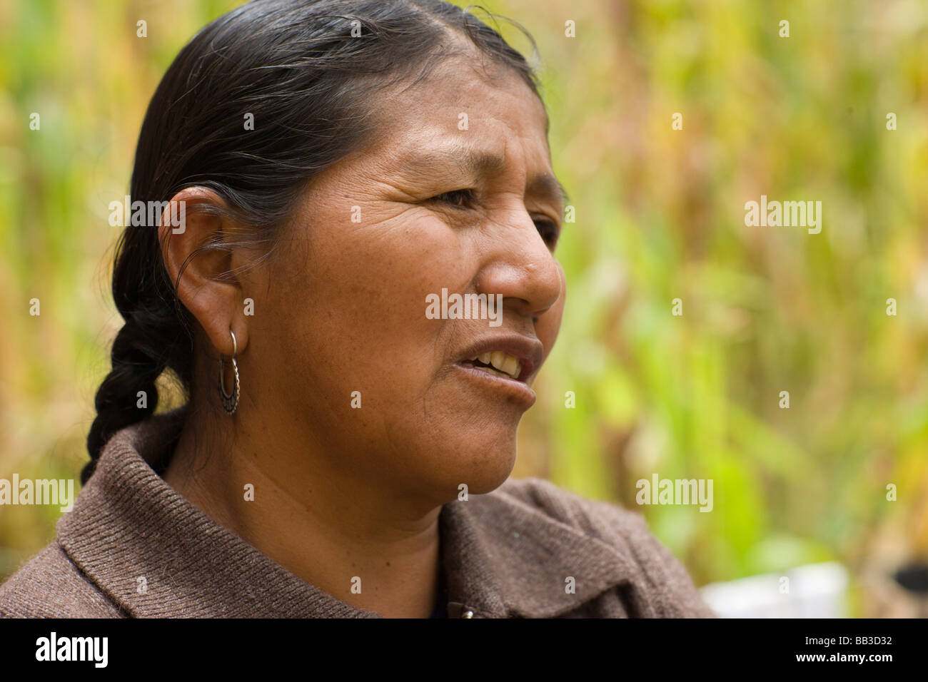 Proprietario di cavia business che è stato avviato con un micro-credito prestito, Cuenca, Ecuador. Foto Stock