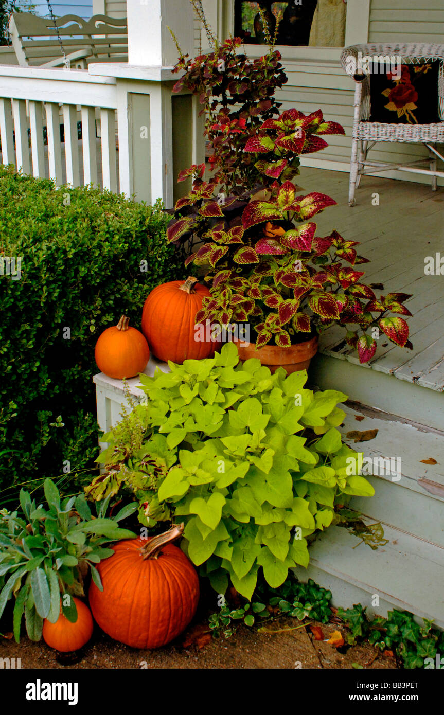 Numerose decorazioni per la festa di Halloween, includono teschi jack o lanterne fogliame scarecrows una strega disposte in modo bello Foto Stock