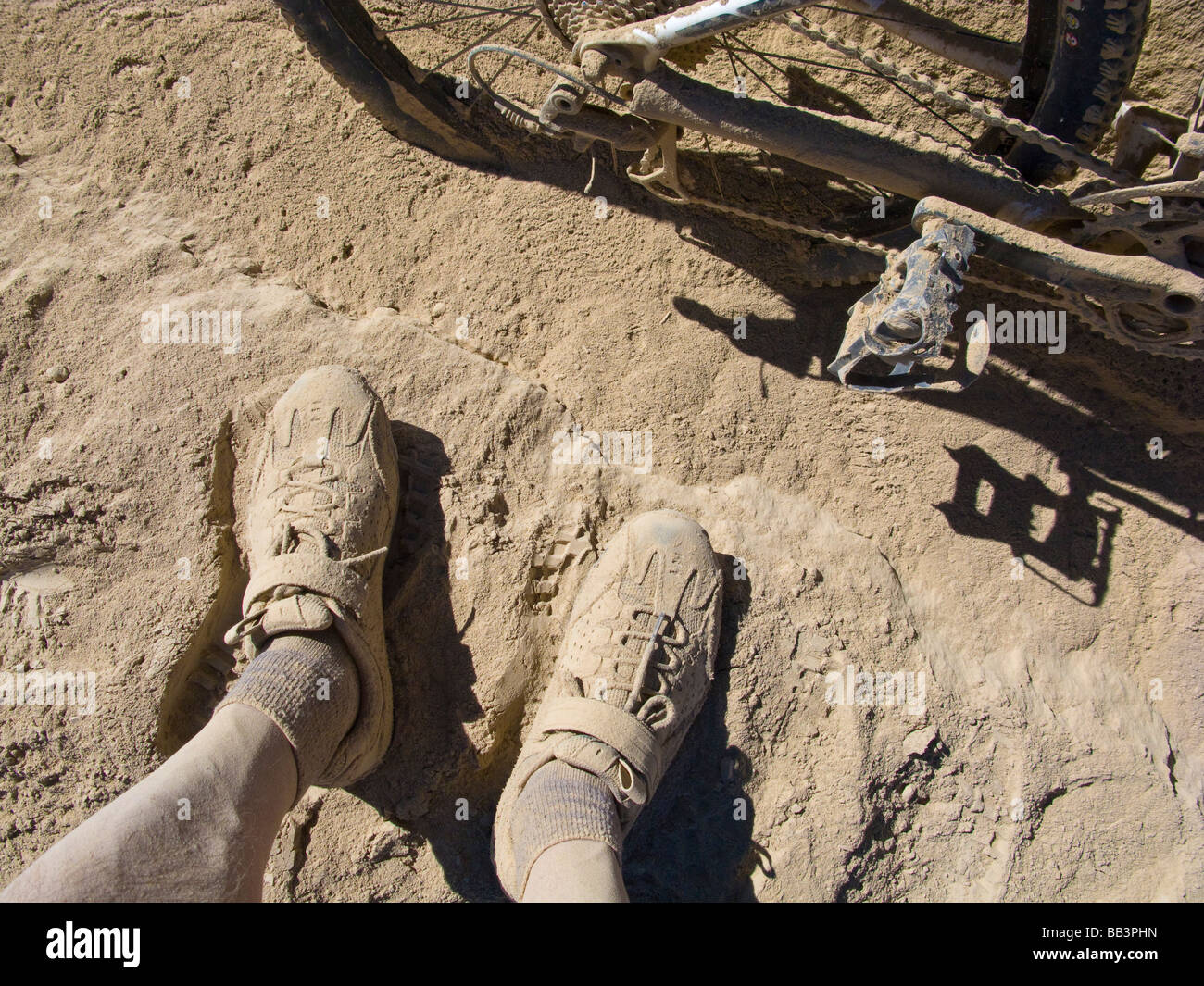 Mountain Biker bloccati nella sabbia profonda in una remota strada sterrata Foto Stock