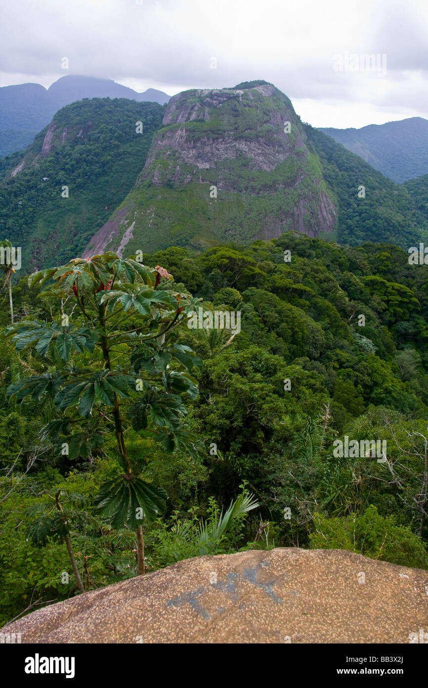 Pedra Bonita in nazionale Tijuca Forest, Rio de Janeiro, Brasile Foto Stock